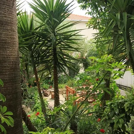 Tonka - 150m From The Sea & Parking Apartment