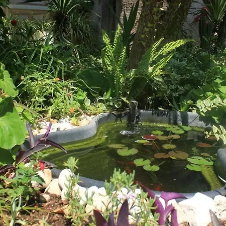 Appartamento Tonka *