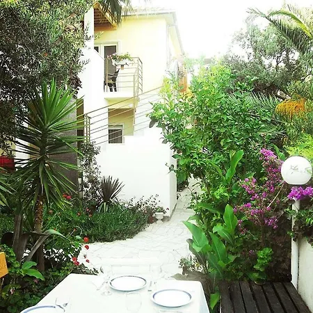 Tonka Appartement